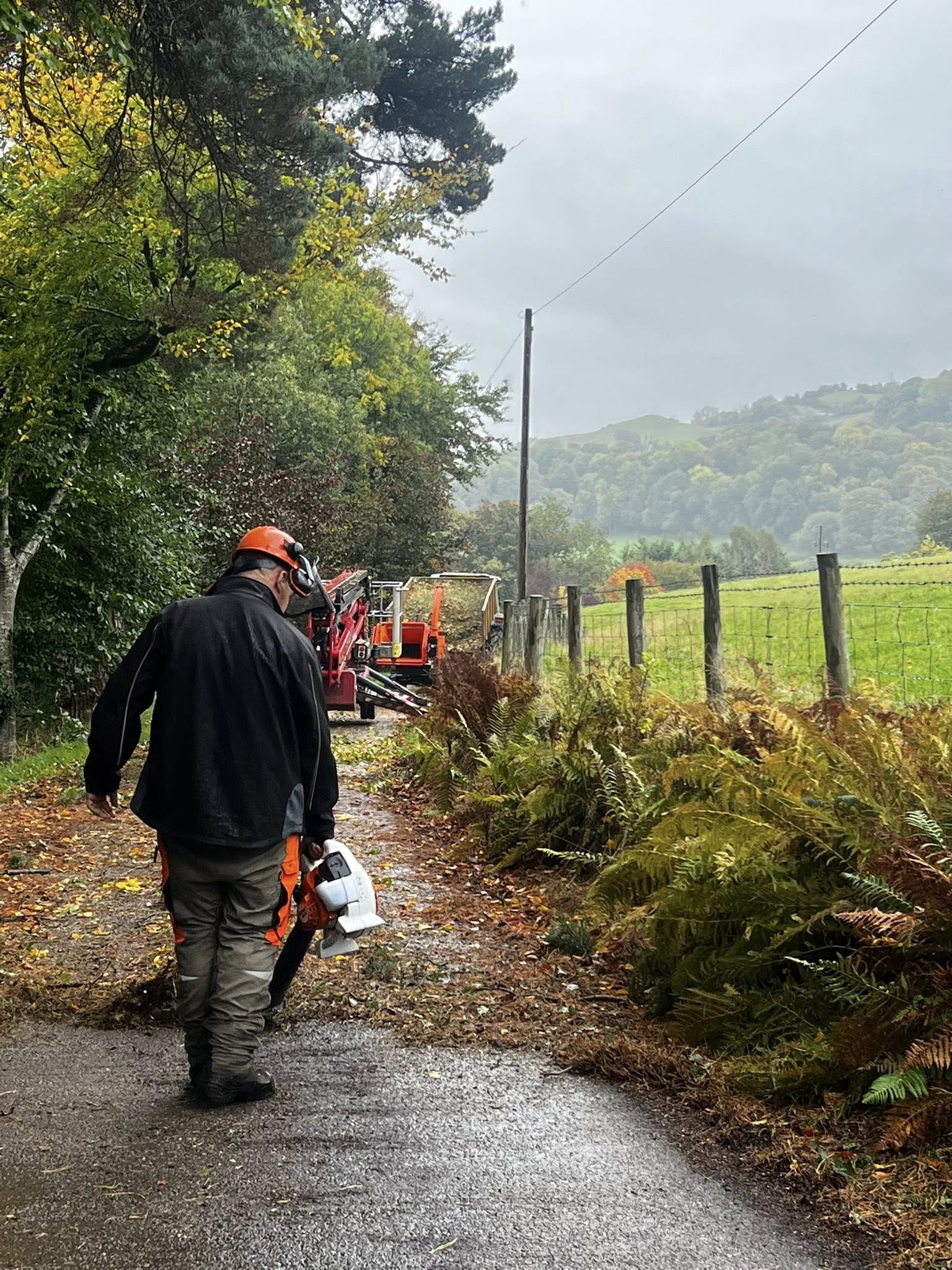 Arborist with chainsaw on countryside lane